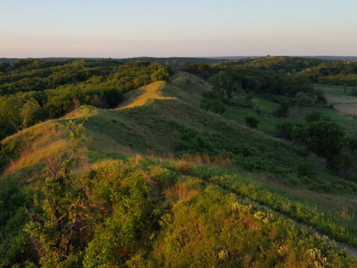 Grassy hills