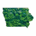 Green Forest Map of Iowa