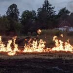 A fire burns in a field with dry grass.