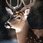 realistic-deer-with-nature-background